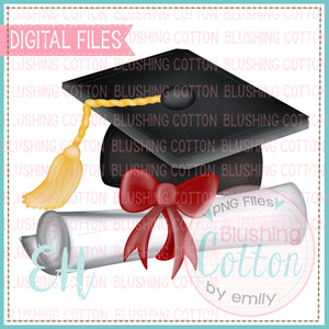 Grad Hat and Diploma Design BCEH