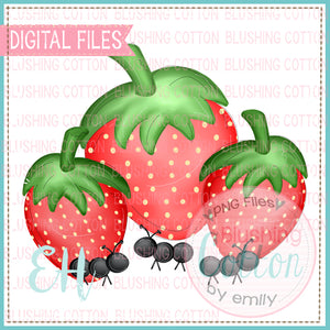 Strawberries Strawberries Strawberries With Ants Design  BCEH