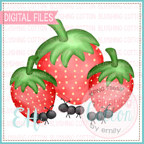 Strawberries Strawberries Strawberries With Ants Design  BCEH