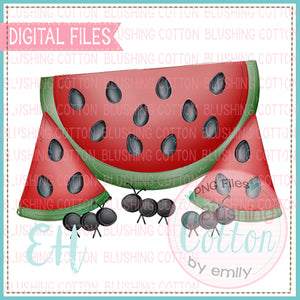 Watermelon With Ants Design  BCEH