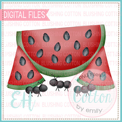 Watermelon With Ants Design  BCEH